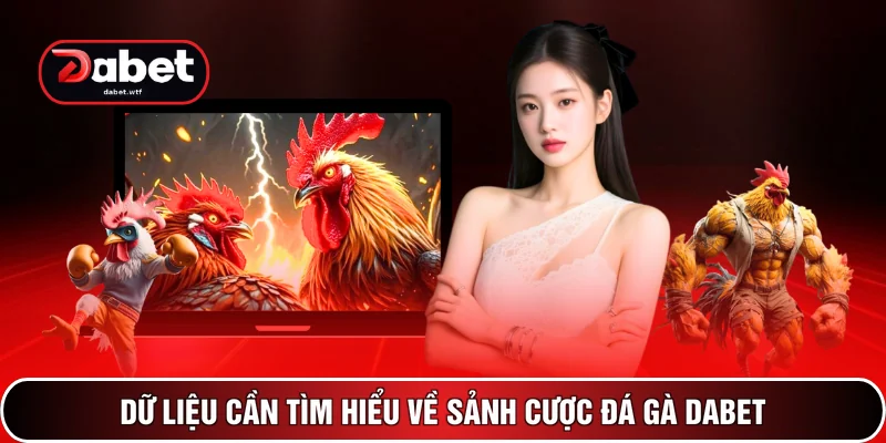 Dữ liệu cần tìm hiểu về sảnh cược đá gà DABET