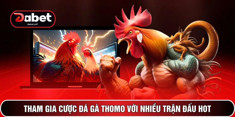 Tham gia cược đá gà Thomo với nhiều trận đấu hot