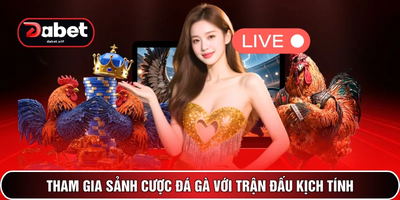 Tham gia sảnh cược đá gà với trận đấu kịch tính